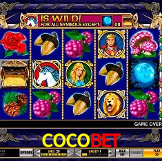 Descubra a Essência do COCOBET: Nossa História e Compromissos